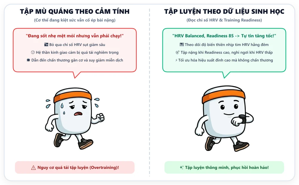 Biếm họa: Tập mù quáng chấn thương vs Lắng nghe chỉ số HRV phục hồi đỉnh cao